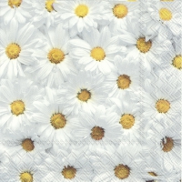 Servietten 33x33 cm - SPRING FOREVER white