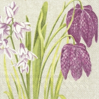 Servietten 33x33 cm - CHECKERBOARD FLOWER