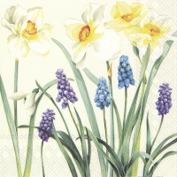 Servietten 33x33 cm - SPRING FLOWERS cream