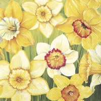 Servietten 33x33 cm - DAFFODILS FIELD