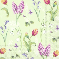 Servietten 33x33 cm - SPRING BREEZE light green