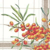 Servietten 33x33 cm - SEA BUCKTHORN TOWEL