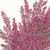 Servietten 33x33 cm - ELISA white