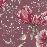 Servietten 33x33 cm - WINTER AMARYLLIS red