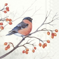 Servietten 33x33 cm - DREAMING WINTER BIRD