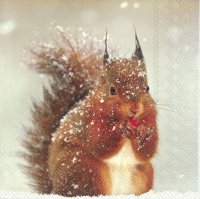 Servietten 33x33 cm - WINTER SQUIRREL