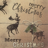 Servietten 33x33 cm - CHRISTMAS PRESENT