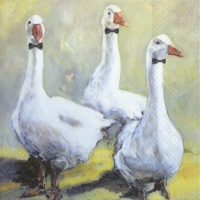 Servietten 33x33 cm - GOOSE BAND