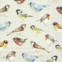 Servietten 33x33 cm - THE BIRDS cream