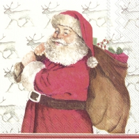 Servietten 33x33 cm - MISTER CLAUS