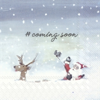 Servietten 33x33 cm - COMING SOON