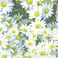 Servietten 33x33 cm - MARGARET