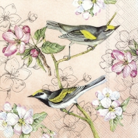 Servietten 33x33 cm - BIRDS SYMPHONY apricot