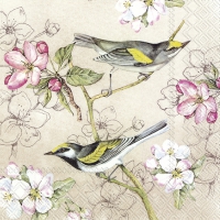 Servietten 33x33 cm - BIRDS SYMPHONY cream