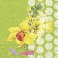 Servietten 33x33 cm - NARZISSE green