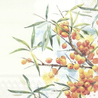 Servietten 33x33 cm - BEEKE