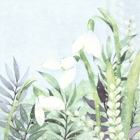 Servietten 33x33 cm - MONIKA