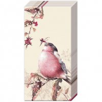 Taschentücher - BEAUTIFUL BULLFINCH cream sand