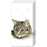 Taschentücher - FARMFRIENDS CAT