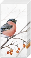 Taschentücher - DREAMING WINTER BIRD