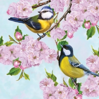 Servietten 33x33 cm - Tits on Cherry Blossom Twig