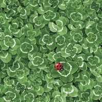Servietten 33x33 cm - Clover Background with Ladybug