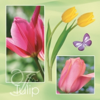 Servietten 33x33 cm - Pink & Yellow Tulips Servietten 33x33 cm - Pink & Yellow Tulips