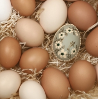 Servietten 33x33 cm - Organic Eggs