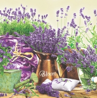 Servietten 33x33 cm - Blooming Lavender Cream