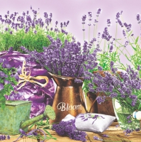 Servietten 33x33 cm - Blooming Lavender Violet
