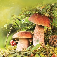 Servietten 33x33 cm - Couple of Boletus
