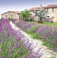 Servietten 33x33 cm - Lavender Farm