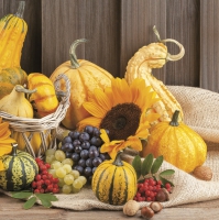 Servietten 33x33 cm - Autumn Fruits