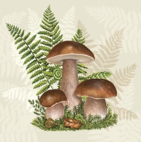 Servietten 33x33 cm - Boletus with Leaves of Fern