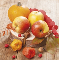 Servietten 33x33 cm - Herbstimpressionen