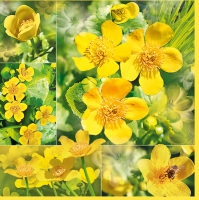 Servietten 33x33 cm - Marsh Marigold Flowers Servietten 33x33 cm - Marsh Marigold Flowers