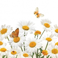 Servietten 33x33 cm - Daisies & Butterflies