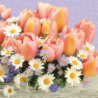 Servietten 33x33 cm - Orange Tulips with Daisies