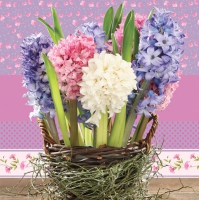 Servietten 33x33 cm - Hyacinths in a Basket