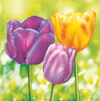 Servietten 33x33 cm - Three Garden Tulips