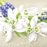 Servietten 33x33 cm - Snowdrops on Wicker Background