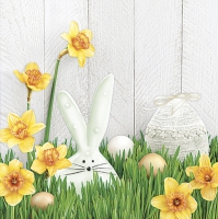 Servietten 33x33 cm - Hello My Bunny!