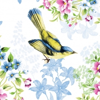 Linclass Servietten 40x40 cm - Lenz