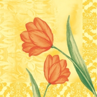 Linclass Servietten 40x40 cm - Sally (orange) Linclass Servietten 40x40 cm - Sally (orange)