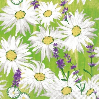 Tissue Servietten 33x33 cm - Nadine Tissue Servietten 33x33 cm - Nadine