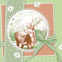 Linclass Servietten 40x40 cm - Finn (grün) Linclass Servietten 40x40 cm - Finn (grün)