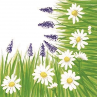 Linclass Servietten 40x40 cm - Nele