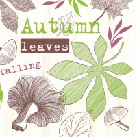 Linclass Servietten 40x40 cm - Adam (kiwi/beere) Linclass Servietten 40x40 cm - Adam (kiwi/beere)