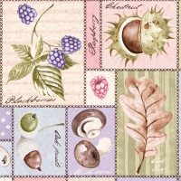 Linclass Servietten 40x40 cm - Jerry Linclass Servietten 40x40 cm - Jerry