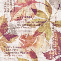 Linclass Servietten 40x40 cm - Gunnar  (terrakotta)